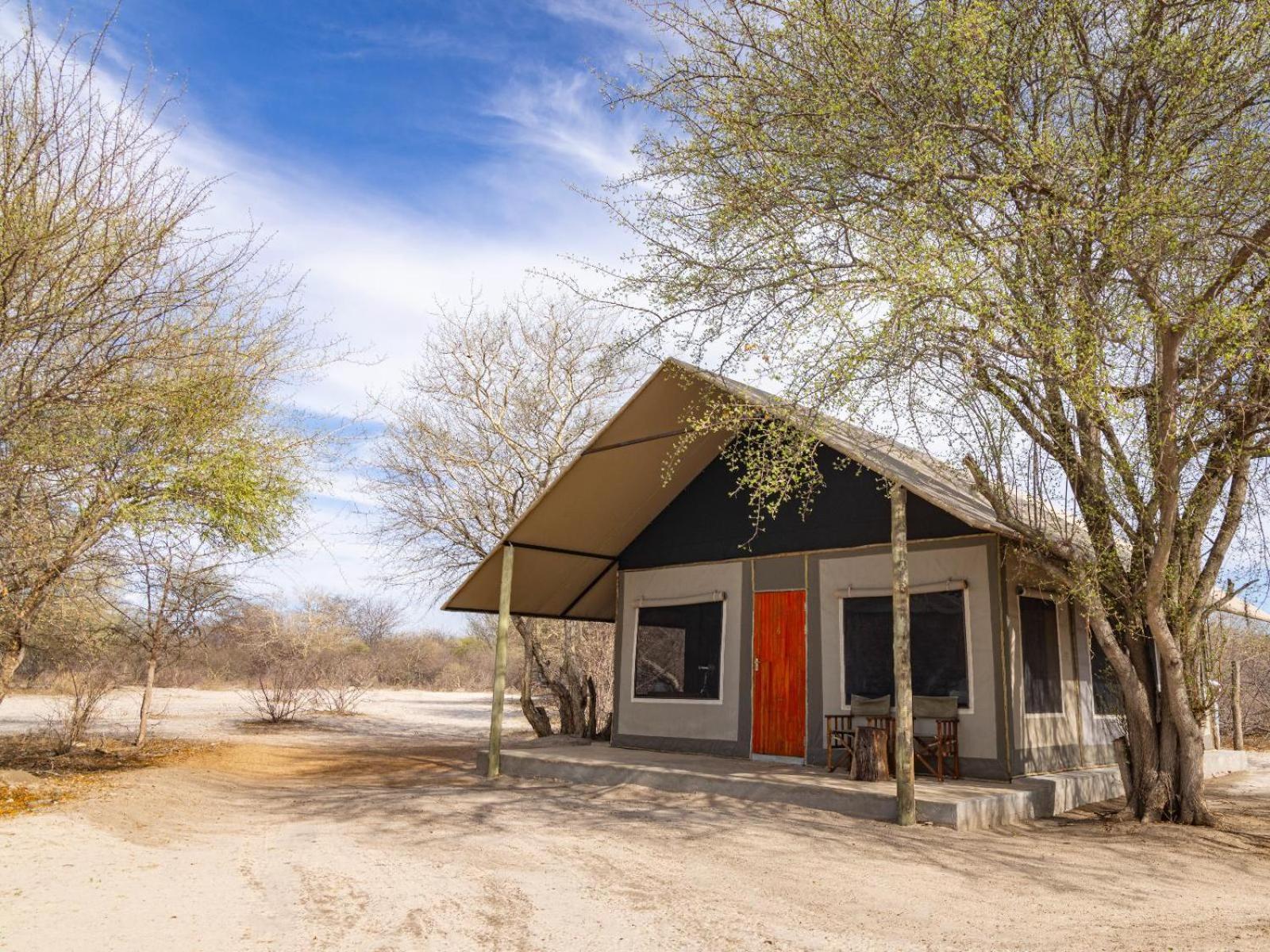 Leopard Plains Villa Motopi Rum bild
